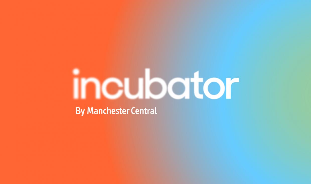 Incubator programme - Website graphic