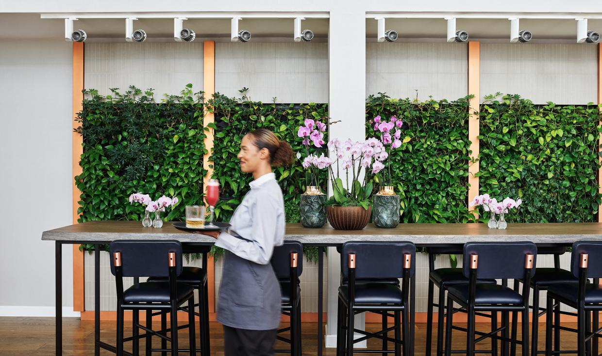 MANRM-Graduate-Bar-Living-Wall-Tender